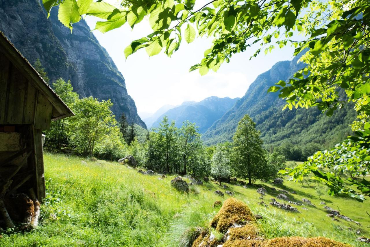 فيلا Alpine House Antonia ترينتا المظهر الخارجي الصورة