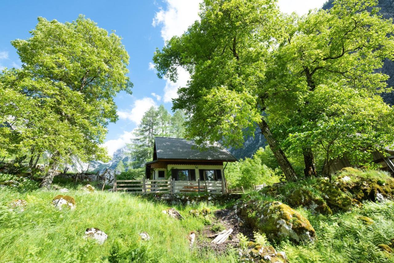 فيلا Alpine House Antonia ترينتا المظهر الخارجي الصورة